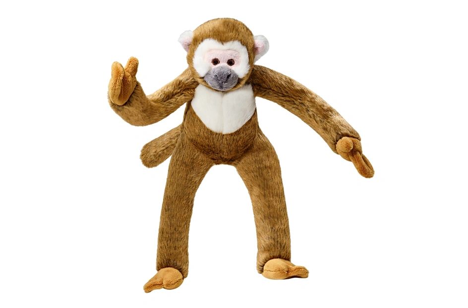 Albert the Monkey